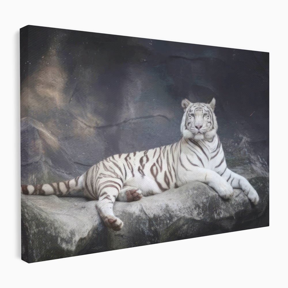 Tablou canvas cu tablou canvas cu tigru alb pe stanca, fara rama, pe sasiu de lemn